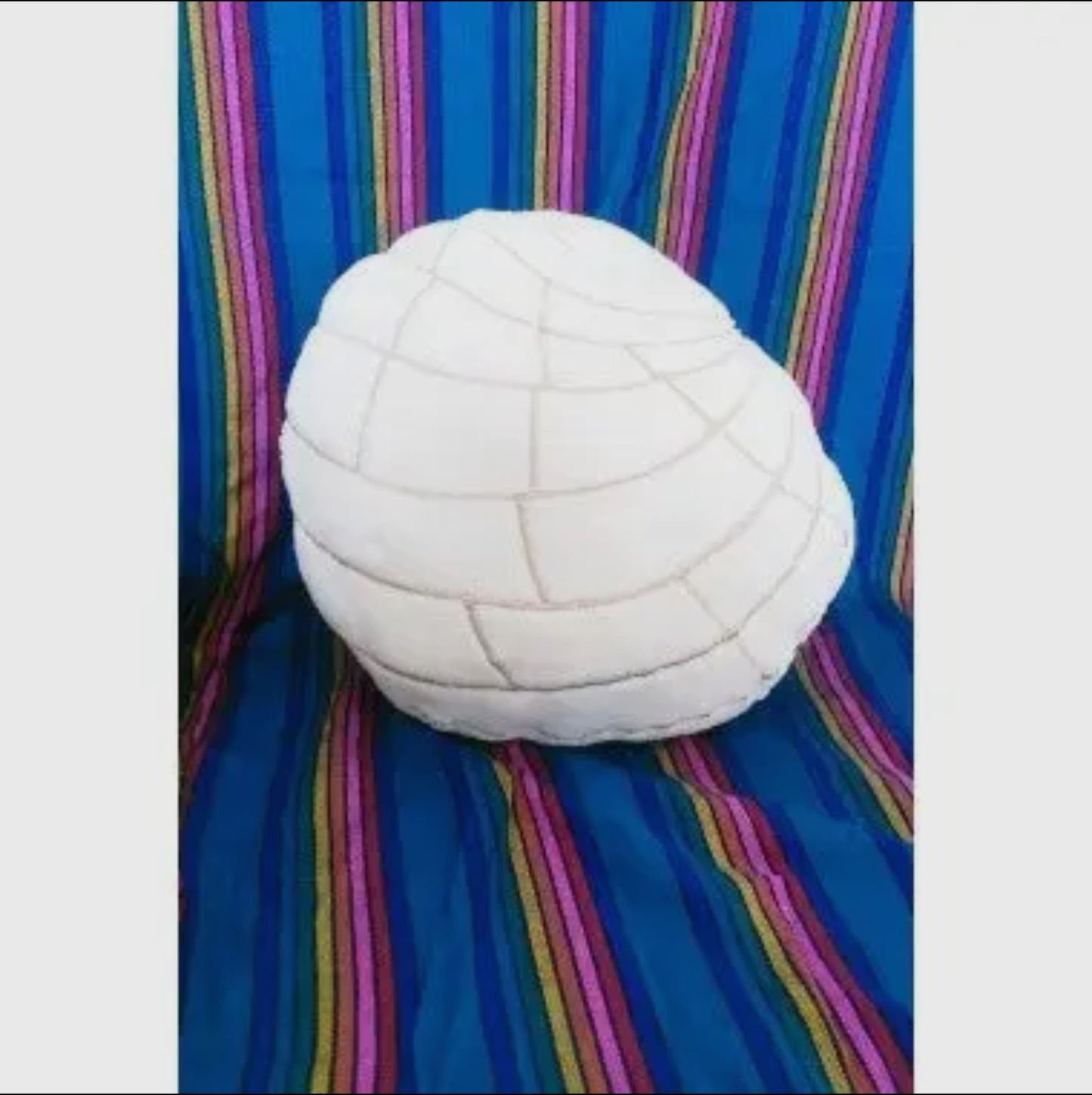Concha Pillows